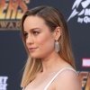 brie_112.jpg