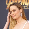 brie_161.jpg