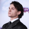 tom_062.jpg