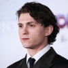 tom_064.jpg