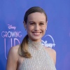 brie_0029.jpg
