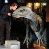 142_jurassic_world_the_ride_grand_opening_celebration_2019.jpg