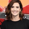 95896354_picturepub-cobie-smulders-010.jpg