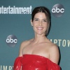 121386347_picturepub-cobie-smulders-003.jpg