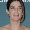 121386360_picturepub-cobie-smulders-008.jpg