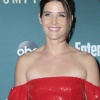 121386390_picturepub-cobie-smulders-019.jpg