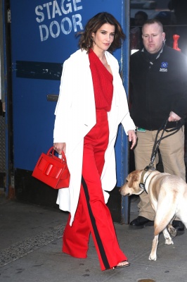 93394767_picturepub-cobie-smulders-021.jpg