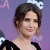 117775688_picturepub-cobie-smulders-004.jpg