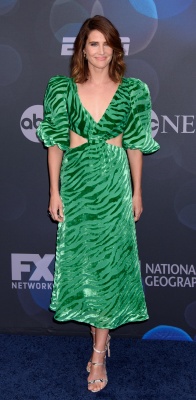 106597847_picturepub-cobie-smulders-023.jpg