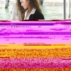 zendaya_0033.jpg