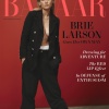 brie_0006.jpg
