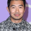 simu_0002.jpg