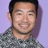 simu_0013.jpg