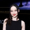 dove_0049.jpg