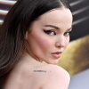 dove_0048.jpg