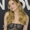 dove_0133.jpg