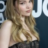 dove_0134.jpg