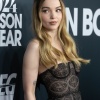 dove_0142.jpg