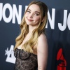 dove_0168.jpg