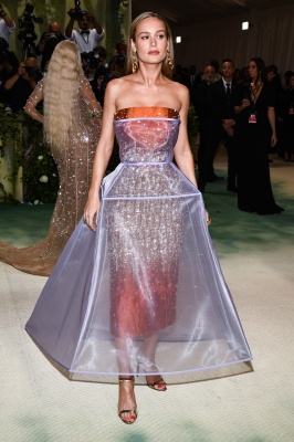 brie_0100.jpg