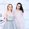 dove_0077.jpg