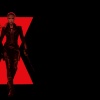 blackwidow_011.jpg