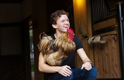 tom_015.jpg