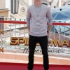 tom_007.jpg